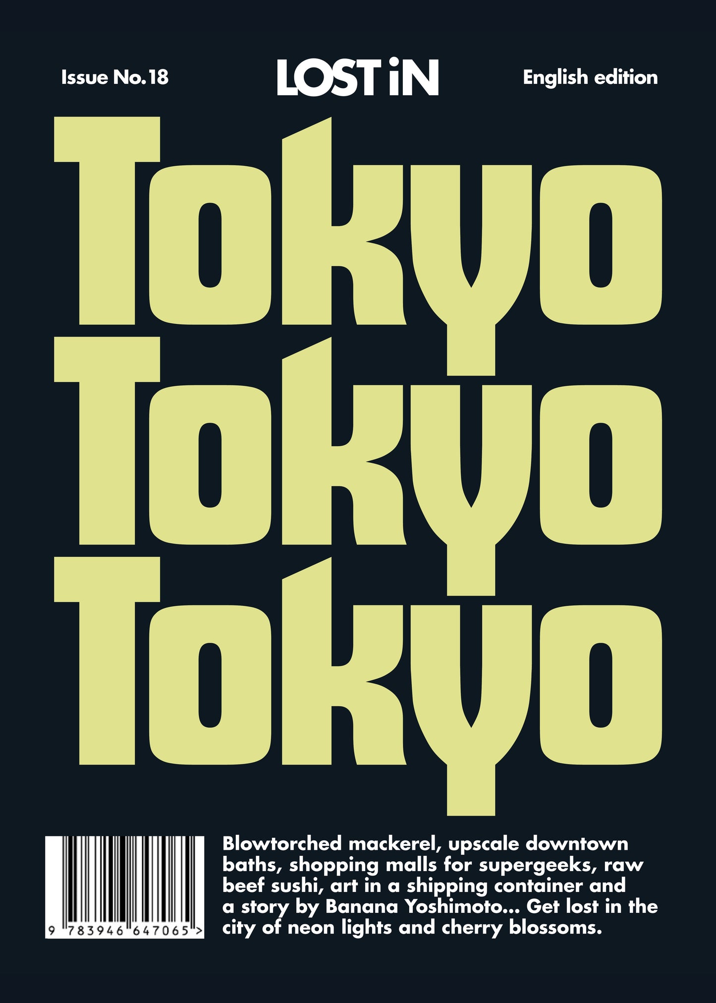 LOST iN Tokyo Poster