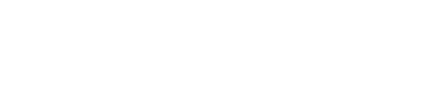 LOST iN City Guides logo